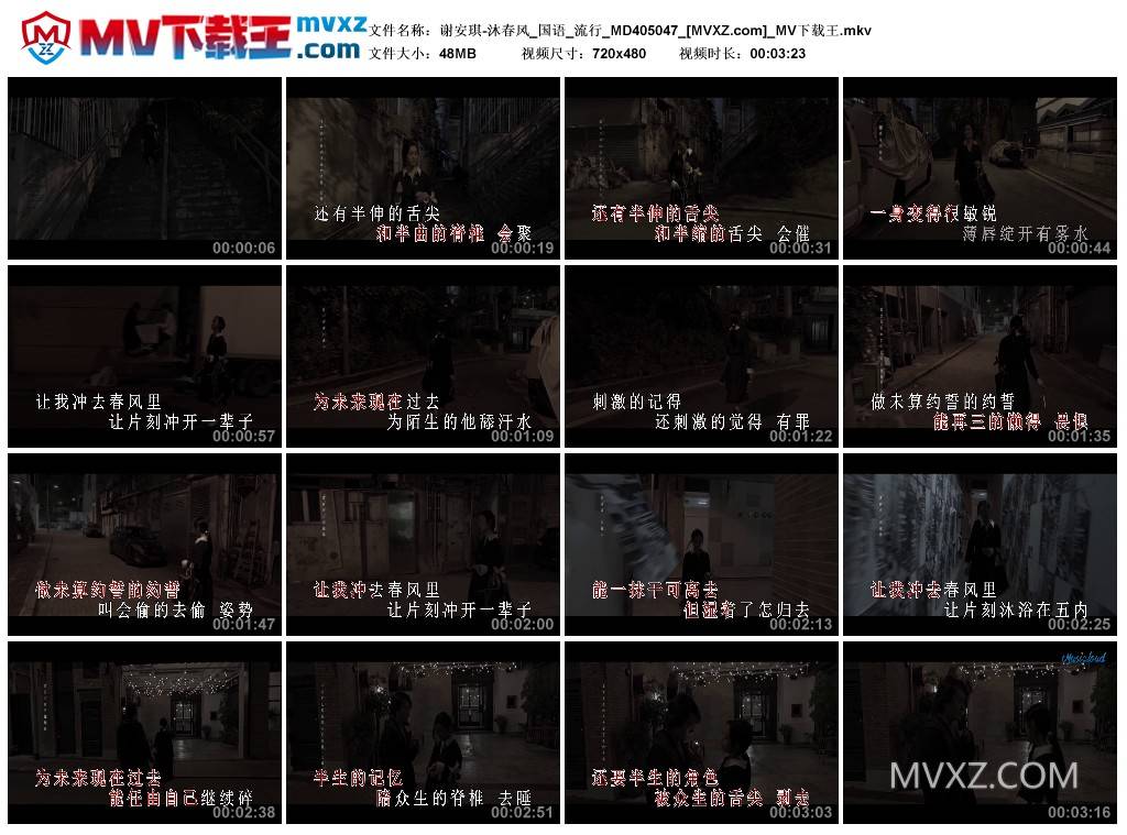 谢安琪-沐春风_国语_流行_MD405047